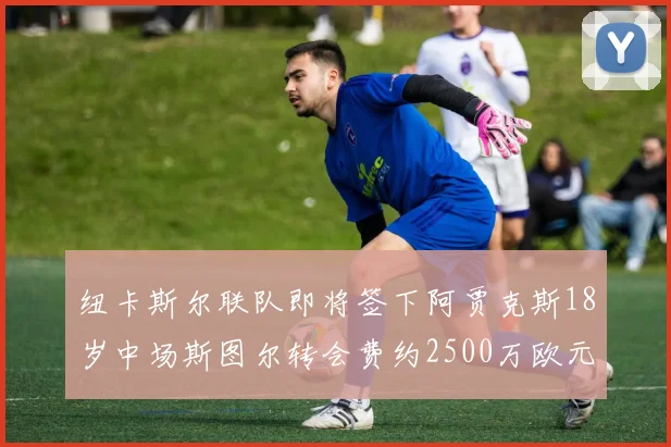 纽卡斯尔联队即将签下阿贾克斯18岁中场斯图尔转会费约2500万欧元