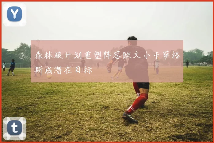 森林狼计划重塑阵容欧文小卡萨格斯成潜在目标
