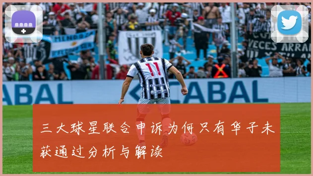 三大球星联合申诉为何只有华子未获通过分析与解读